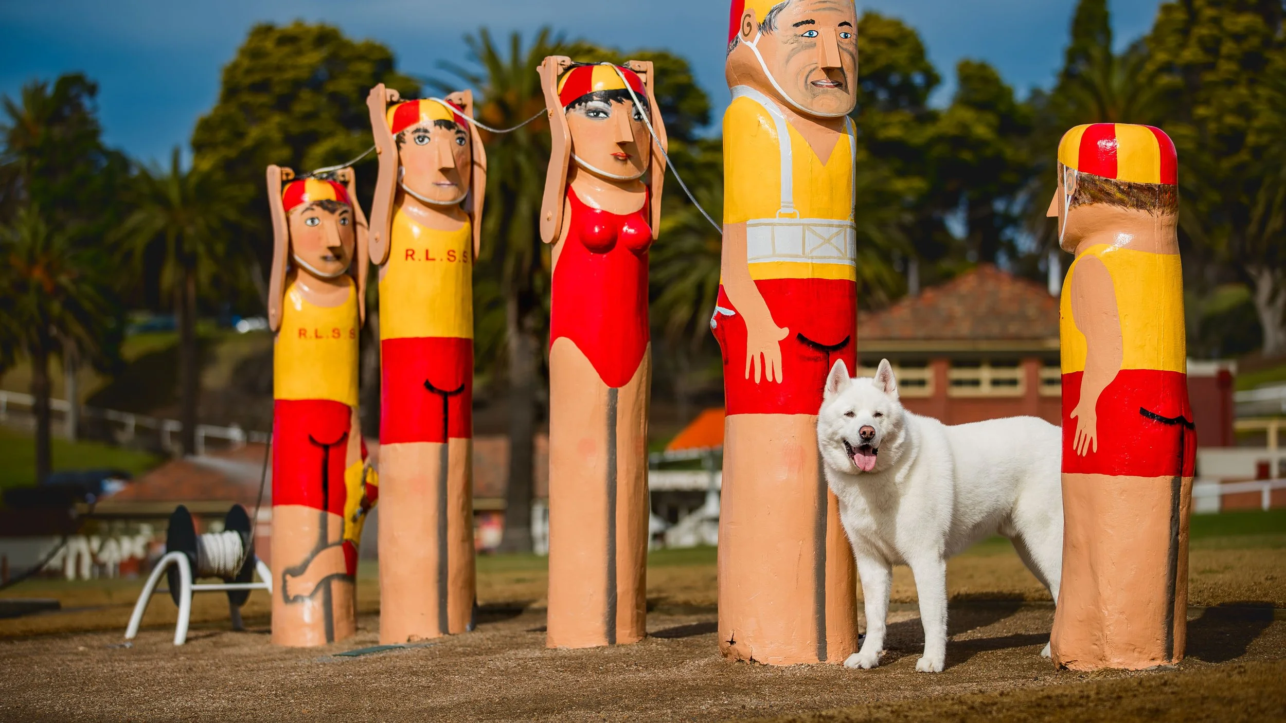 geelong-dog-photography_1-9.jpg (Copy)