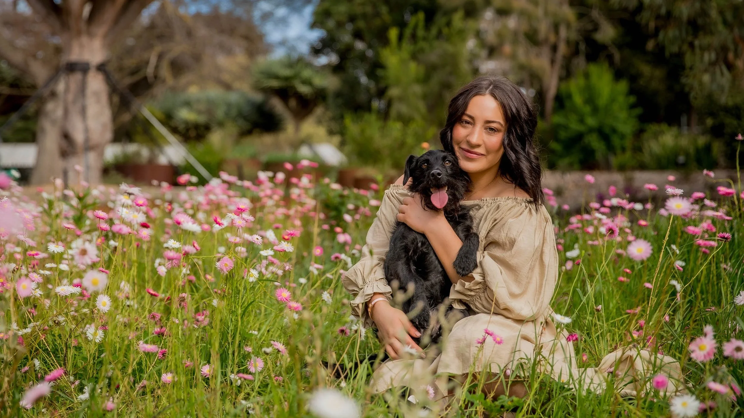 geelong-dog-photography_1-12.jpg (Copy)