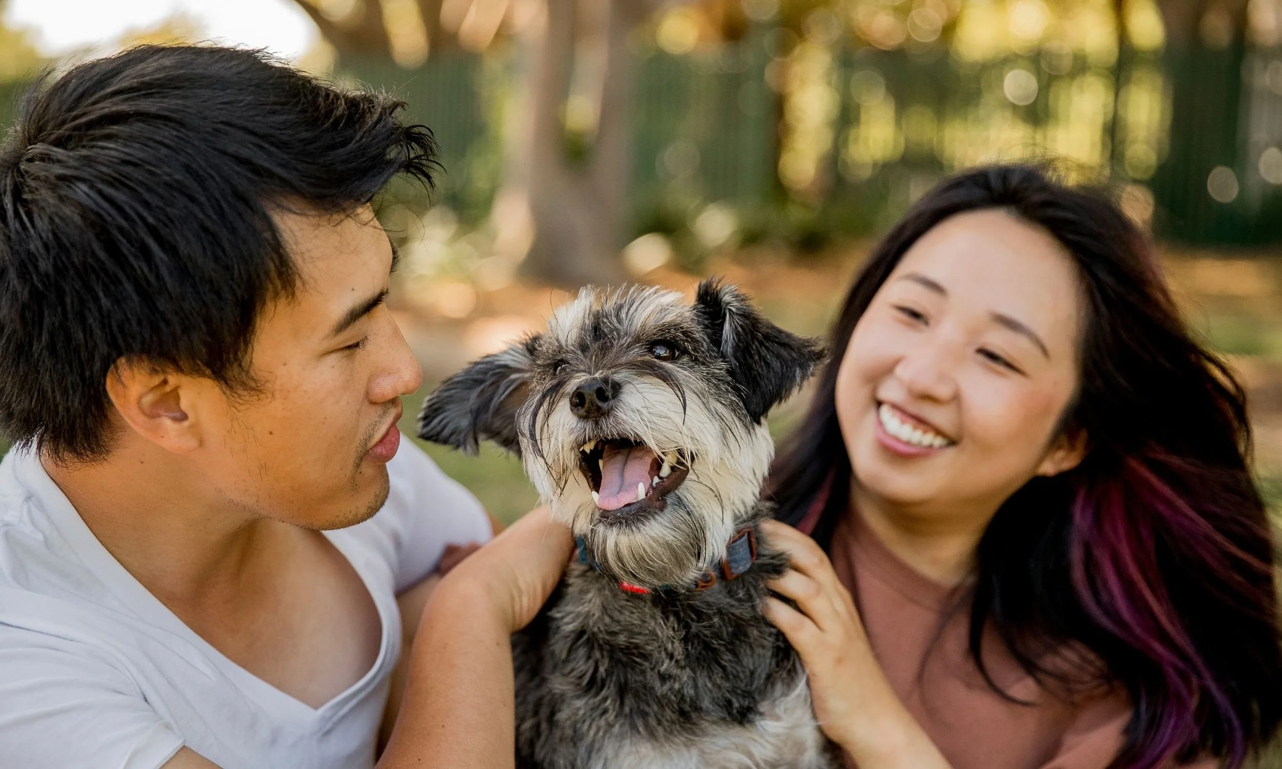 Photos with my dog.jpg (Copy) (Copy)