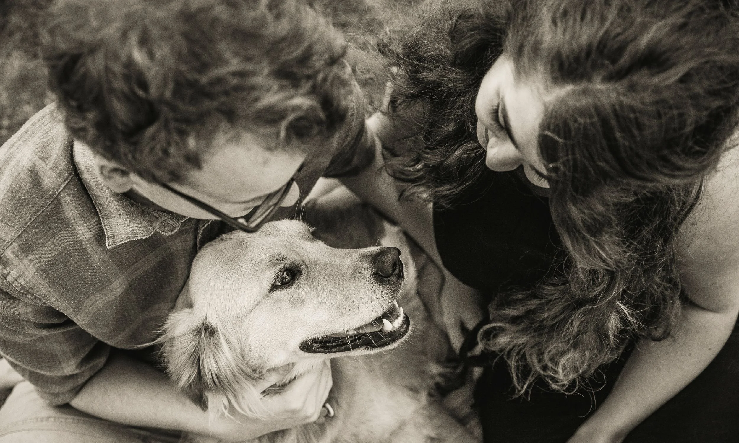 professional Pet photoshoot.jpg (Copy) (Copy)