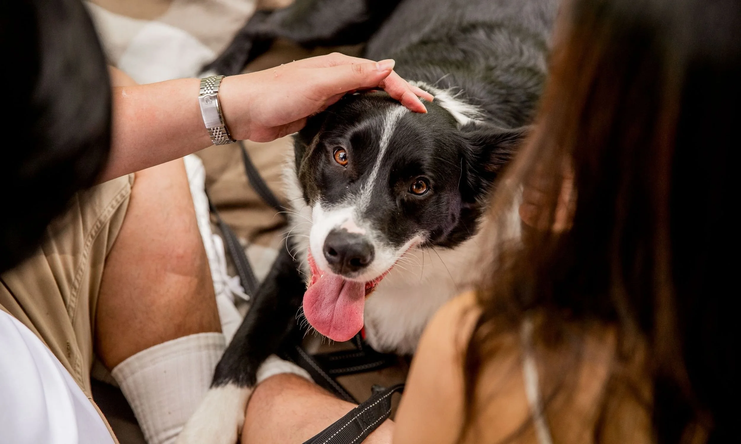 lifestyle pet photography.jpg
