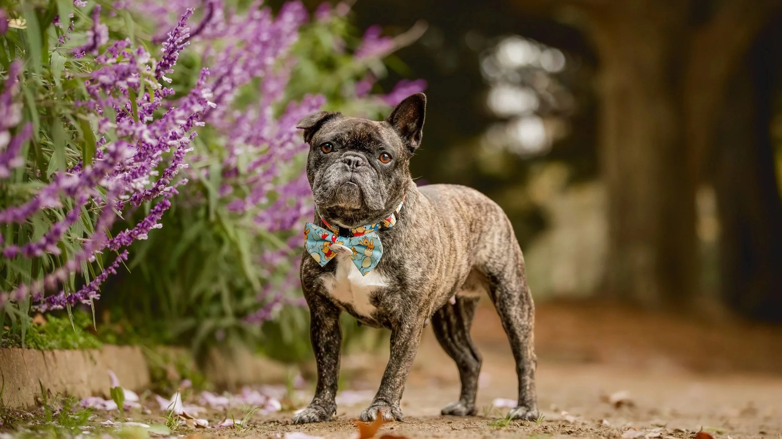 049_florence_05-26_ragamuffin.jpg