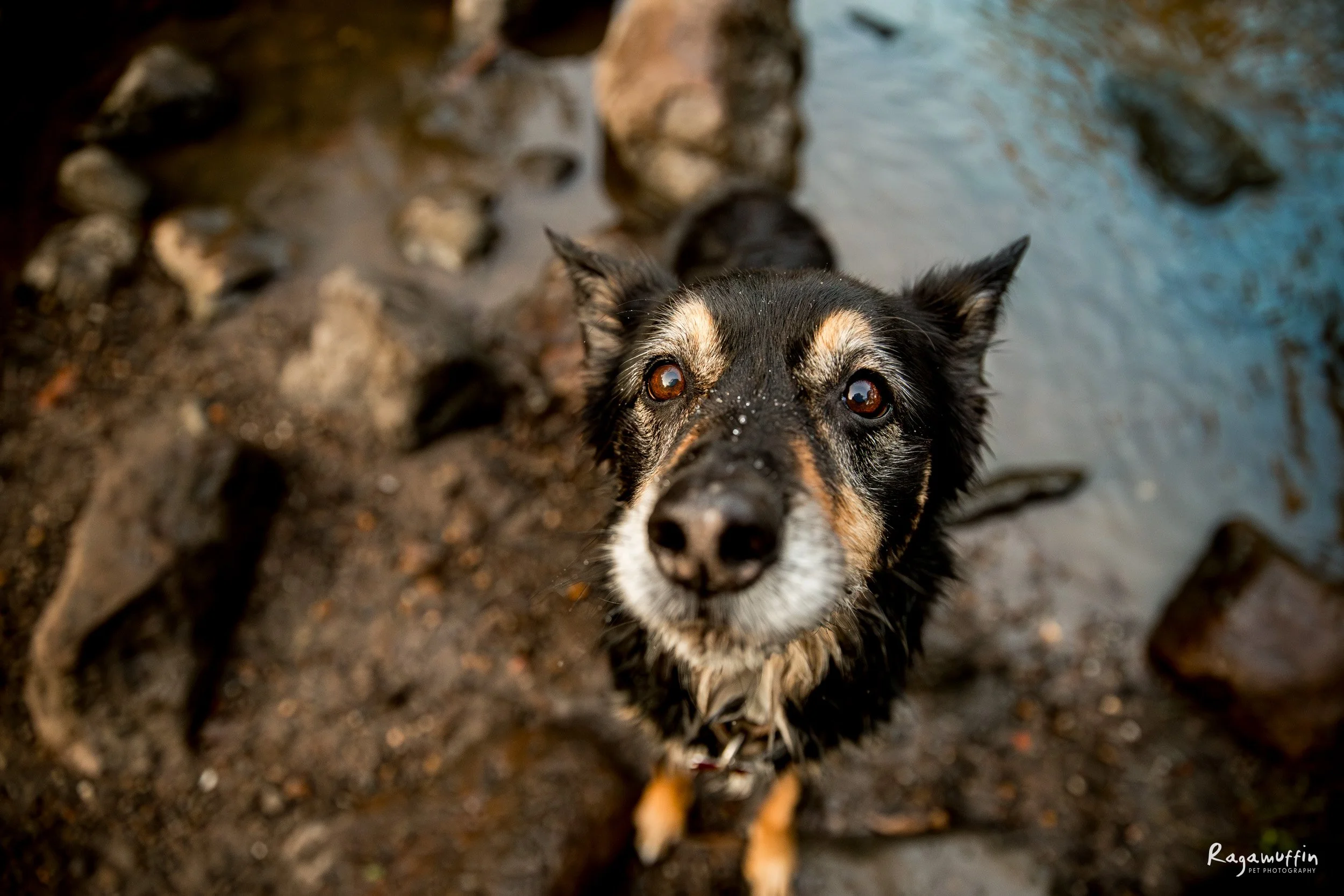 (122)_cooper-kobe_05_24_ragamuffin-Enhanced-NR-web.jpg