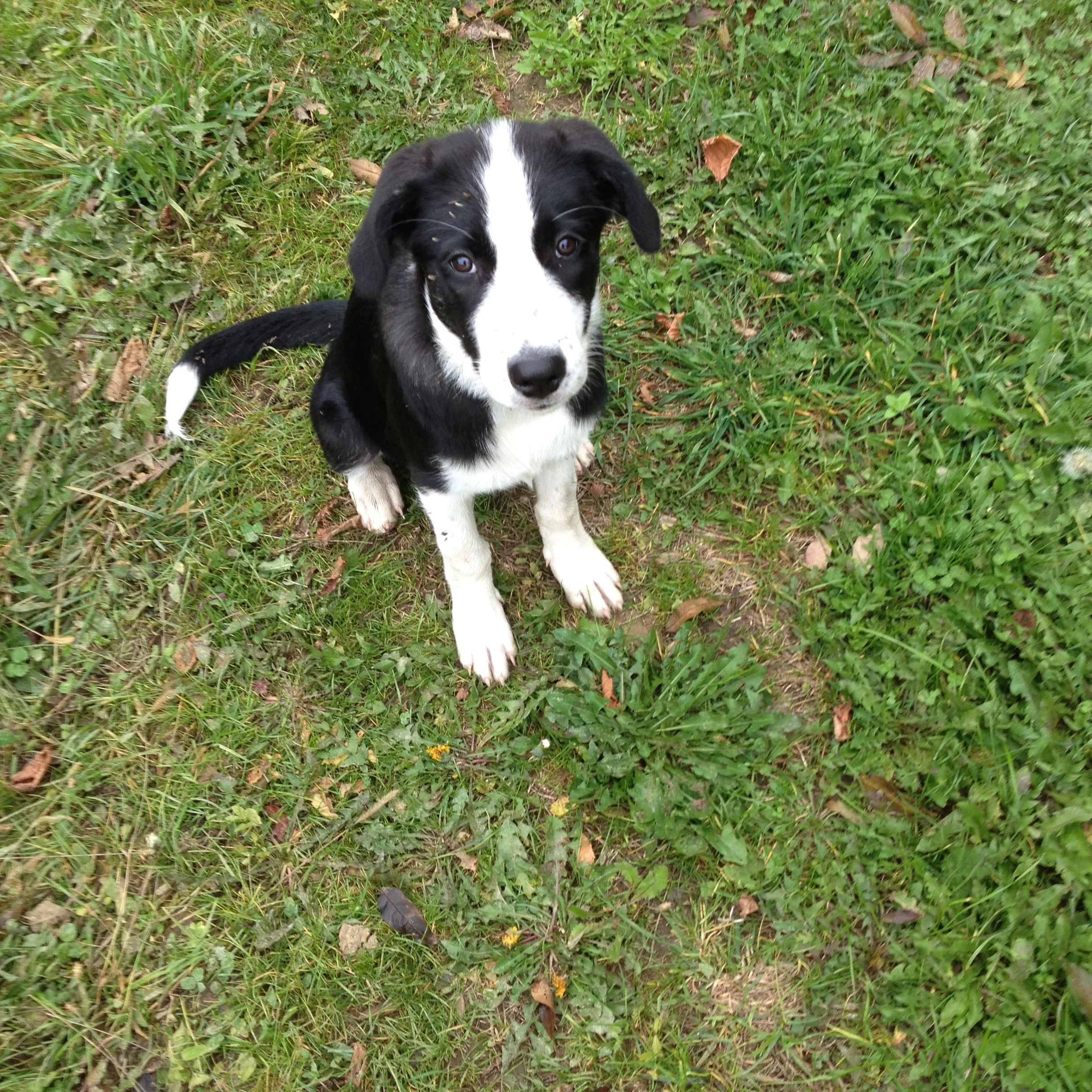 Kaya`s Newsletter für Tota vi naturae: Was gibt es Neues im April?