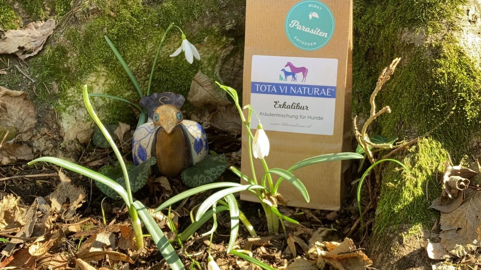 Anti-Zeckenkräuter für Hunde