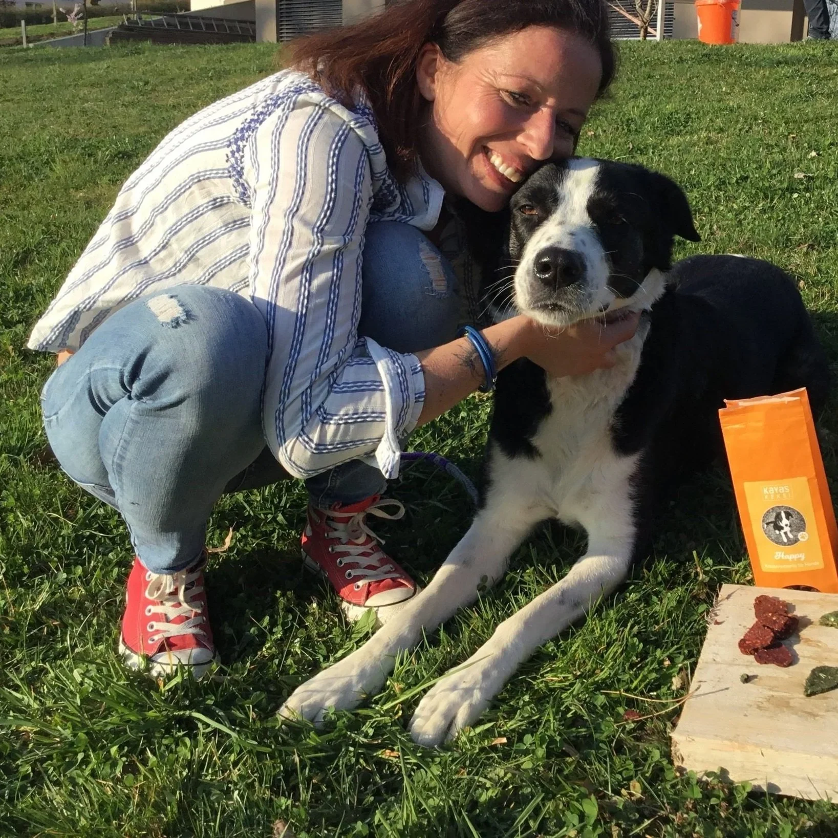 Ausbildungslehrgang Tierkommunikation 2026