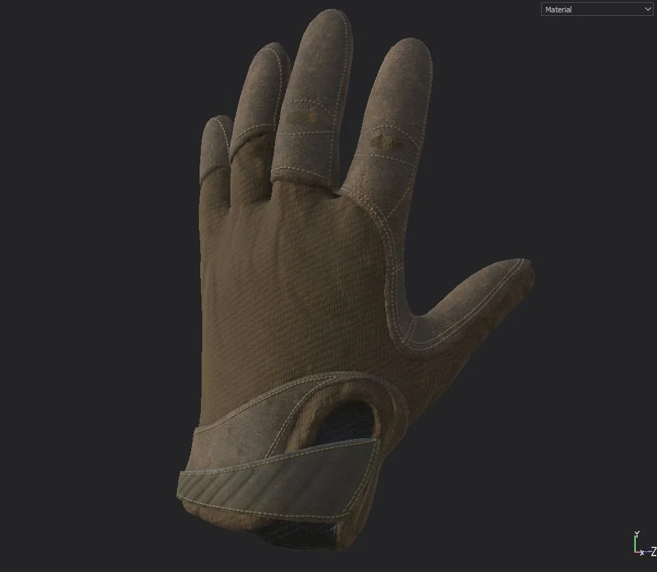 Glove_1.JPG