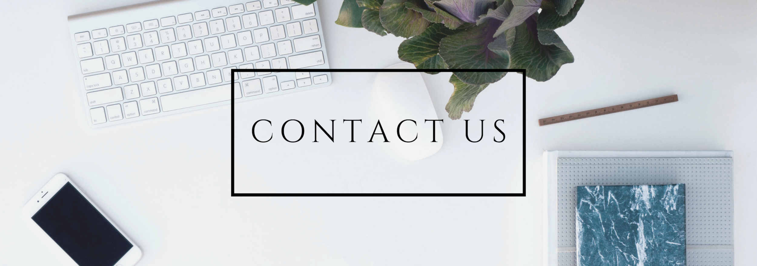 contact us 2.png