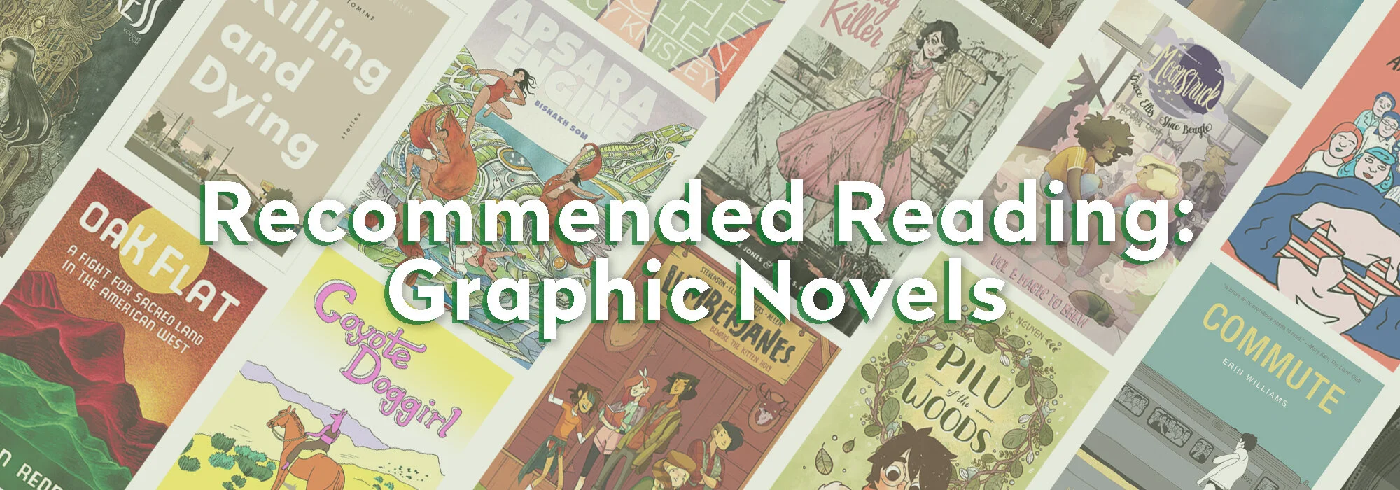 Recommended Reading: Graphic Novels