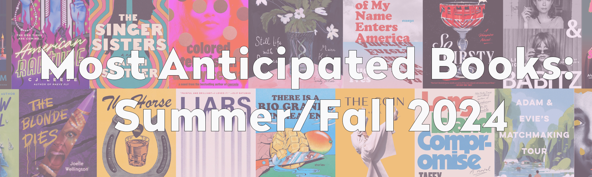 Most Anticipated Books, Vol. 2: Summer/Fall 2024 