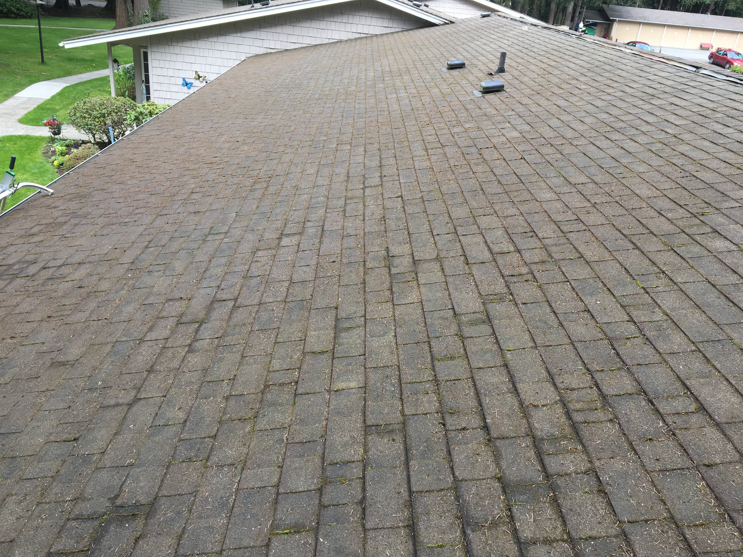 roof_1_after.JPG