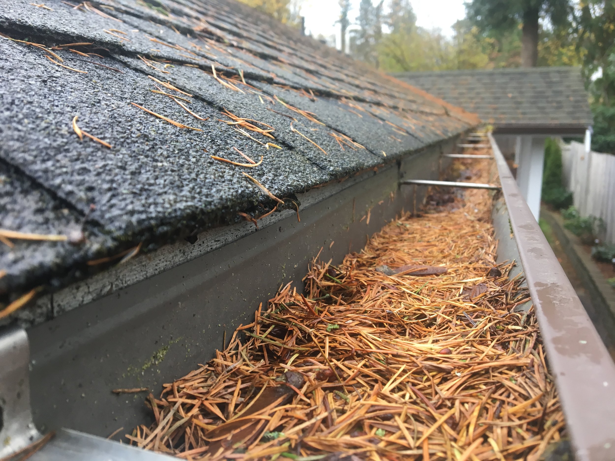 gutter-1-before.JPG