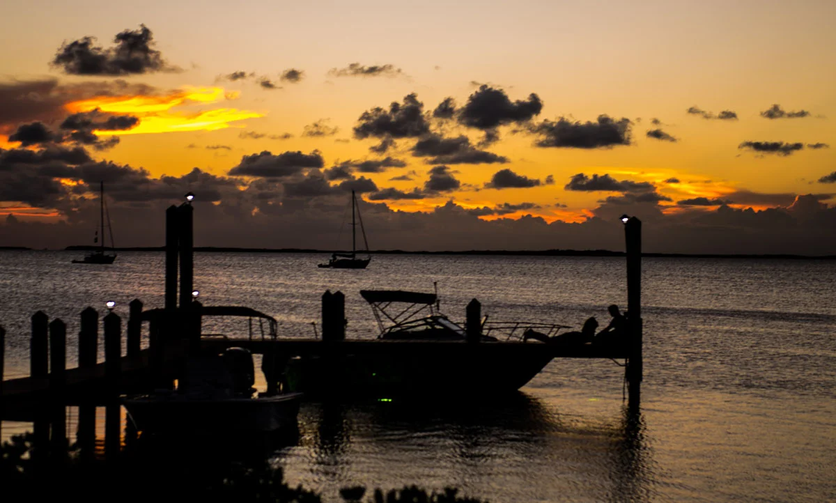 DSC_6788.jpg