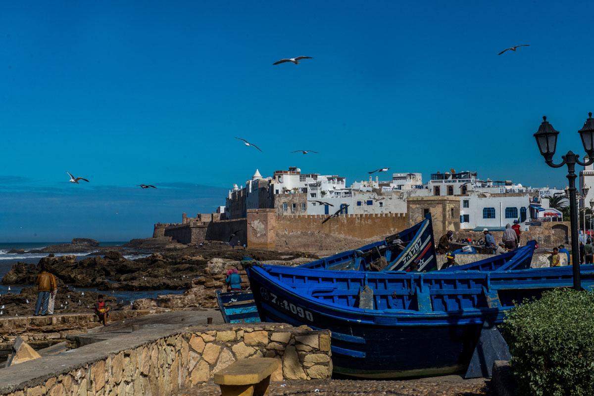DSC_5526.jpg