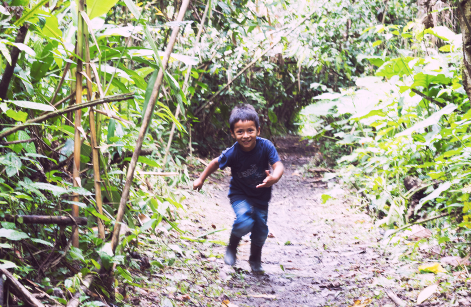 Screen Shot 2017-01-29 at 2.15.45 PM.png