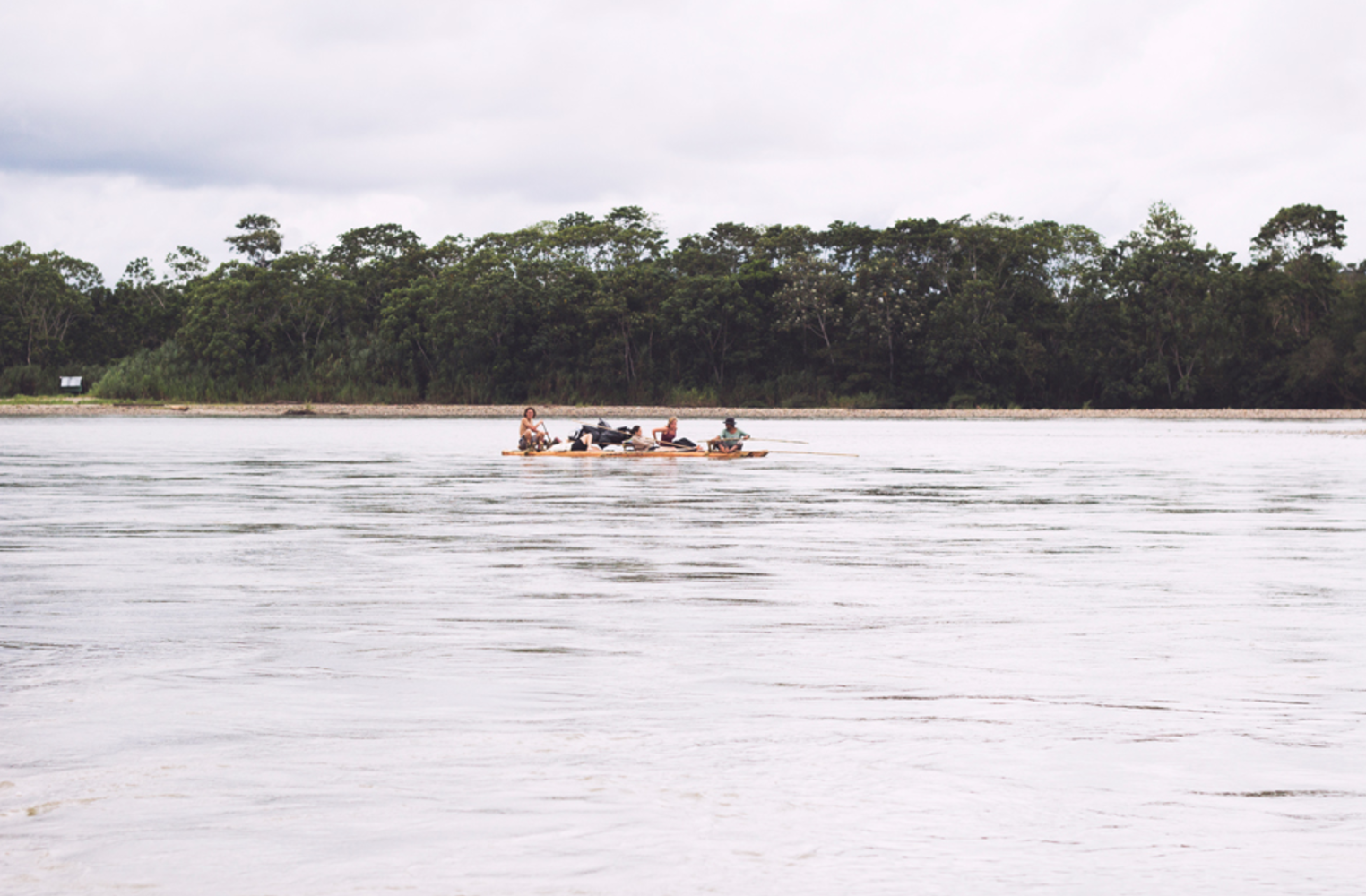 Screen Shot 2017-01-29 at 2.16.18 PM.png