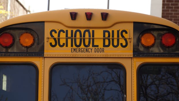Bus.jpeg