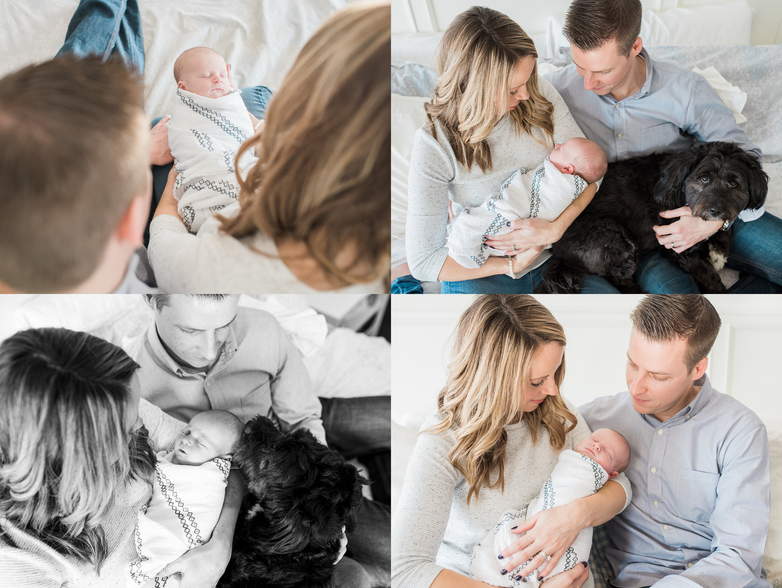 Look at the concern on Koco's face! She had me laughing the whole session, she wanted to be in every photo!
