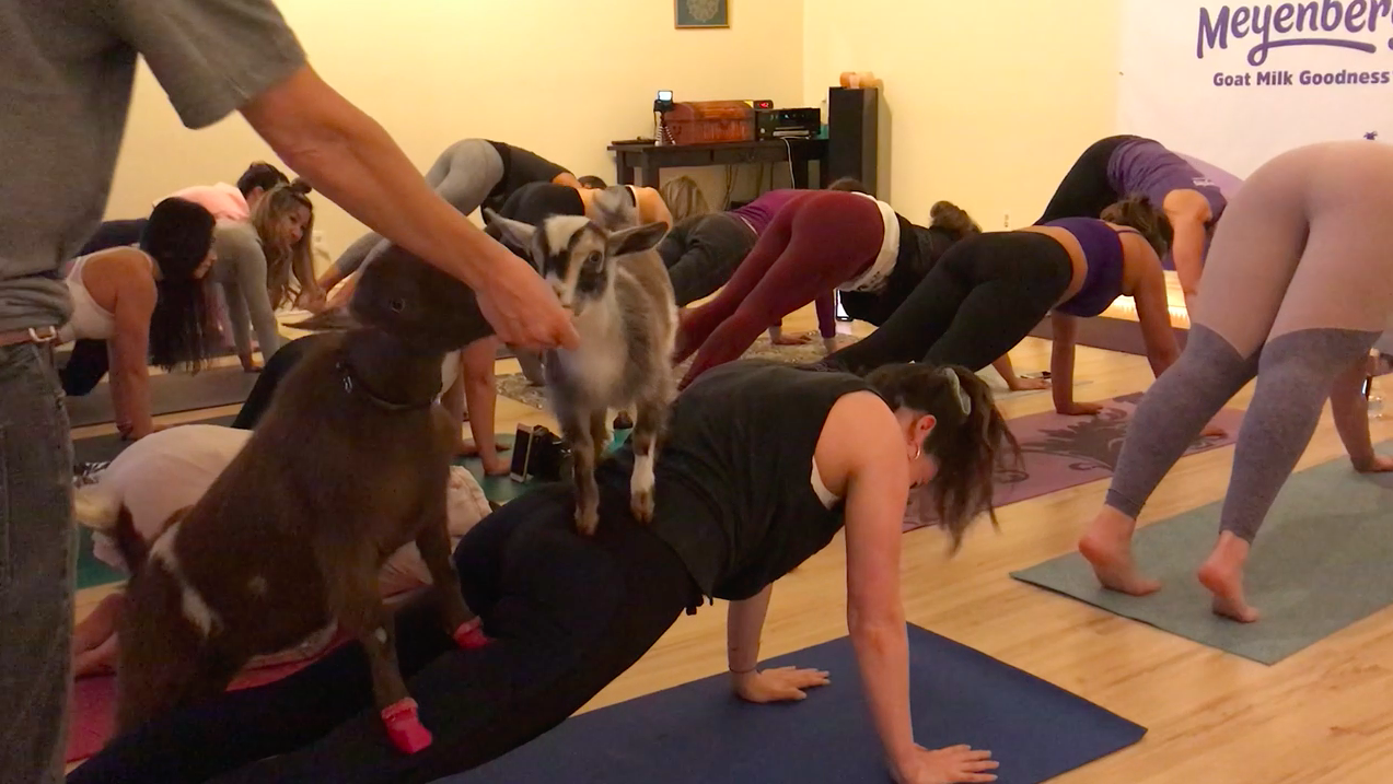 Screen Shot 2019-04-17 at 3.20.49 PM.png