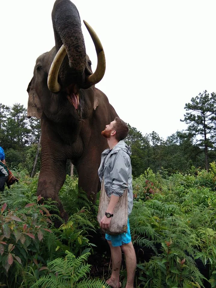 https://www.chailaiorchid.com Elephant sanctuary in Chiang Mai