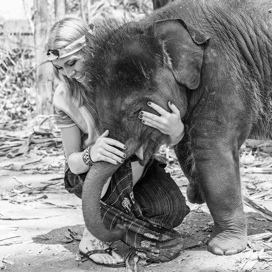 https://www.chailaiorchid.com Elephant sanctuary in Chiang Mai