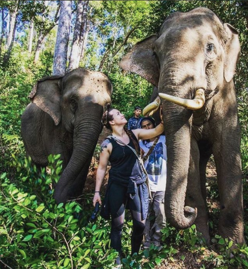 https://www.chailaiorchid.com Elephant sanctuary in Chiang Mai