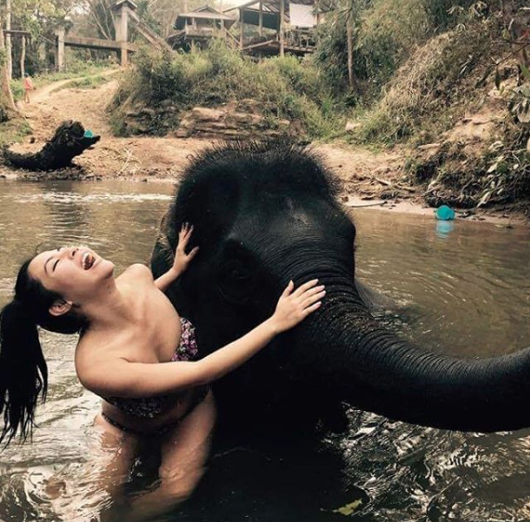 https://www.chailaiorchid.com Elephant sanctuary in Chiang Mai
