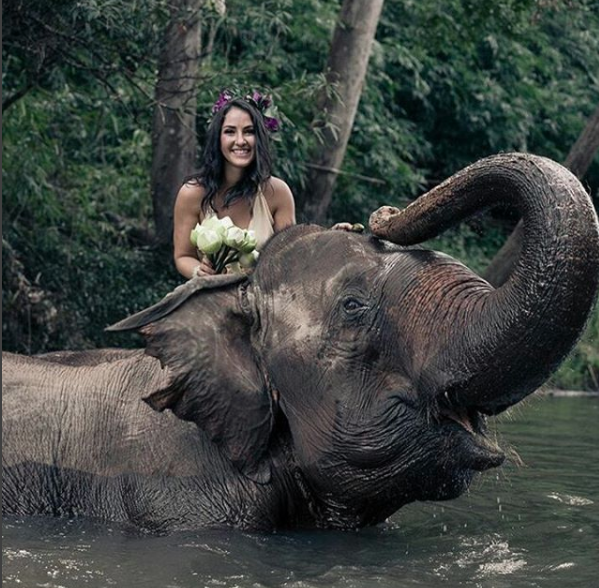 https://www.chailaiorchid.com Elephant sanctuary in Chiang Mai