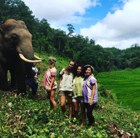 https://www.chailaiorchid.com Elephant sanctuary in Chiang Mai