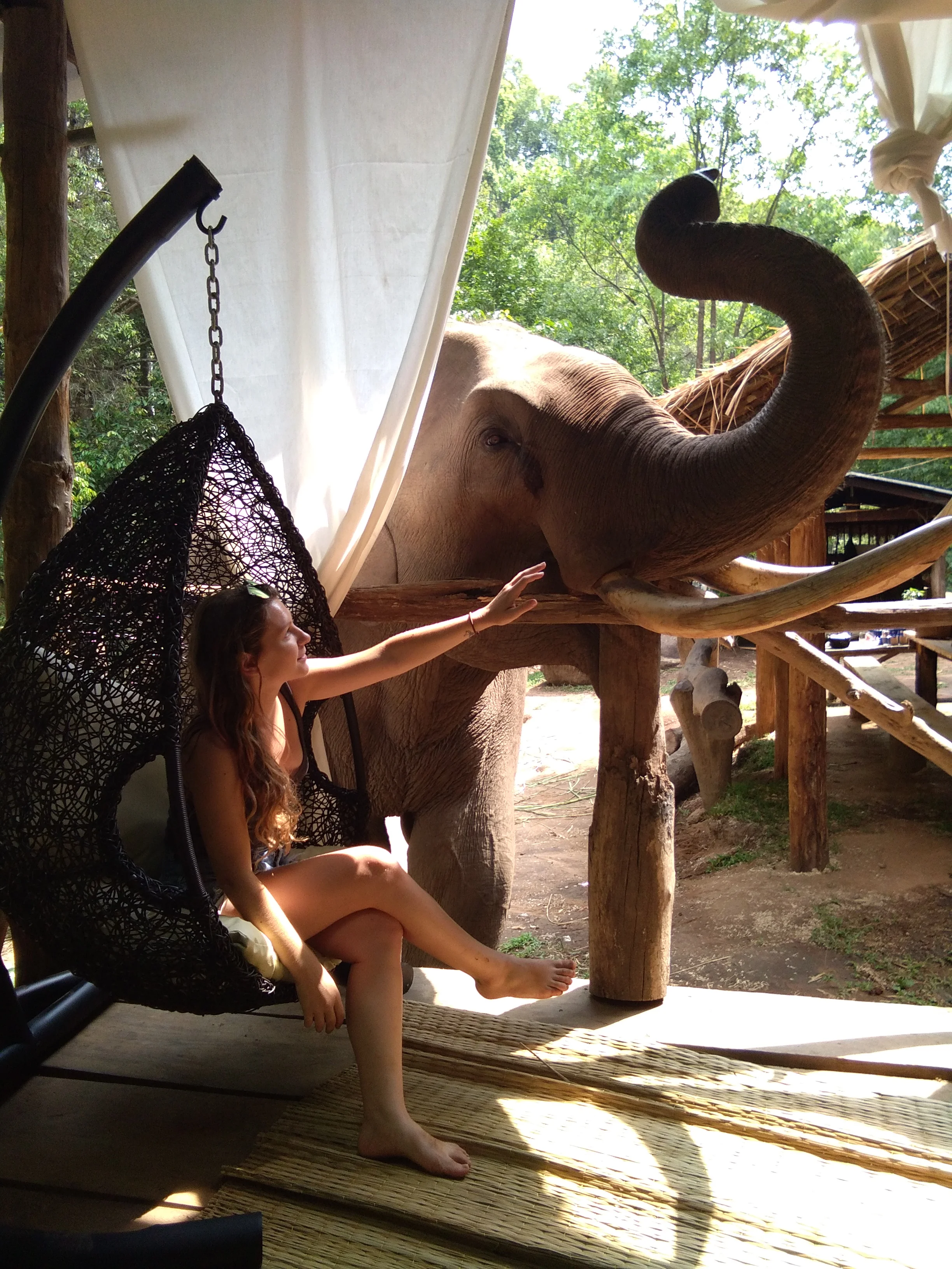 elephant eco resort