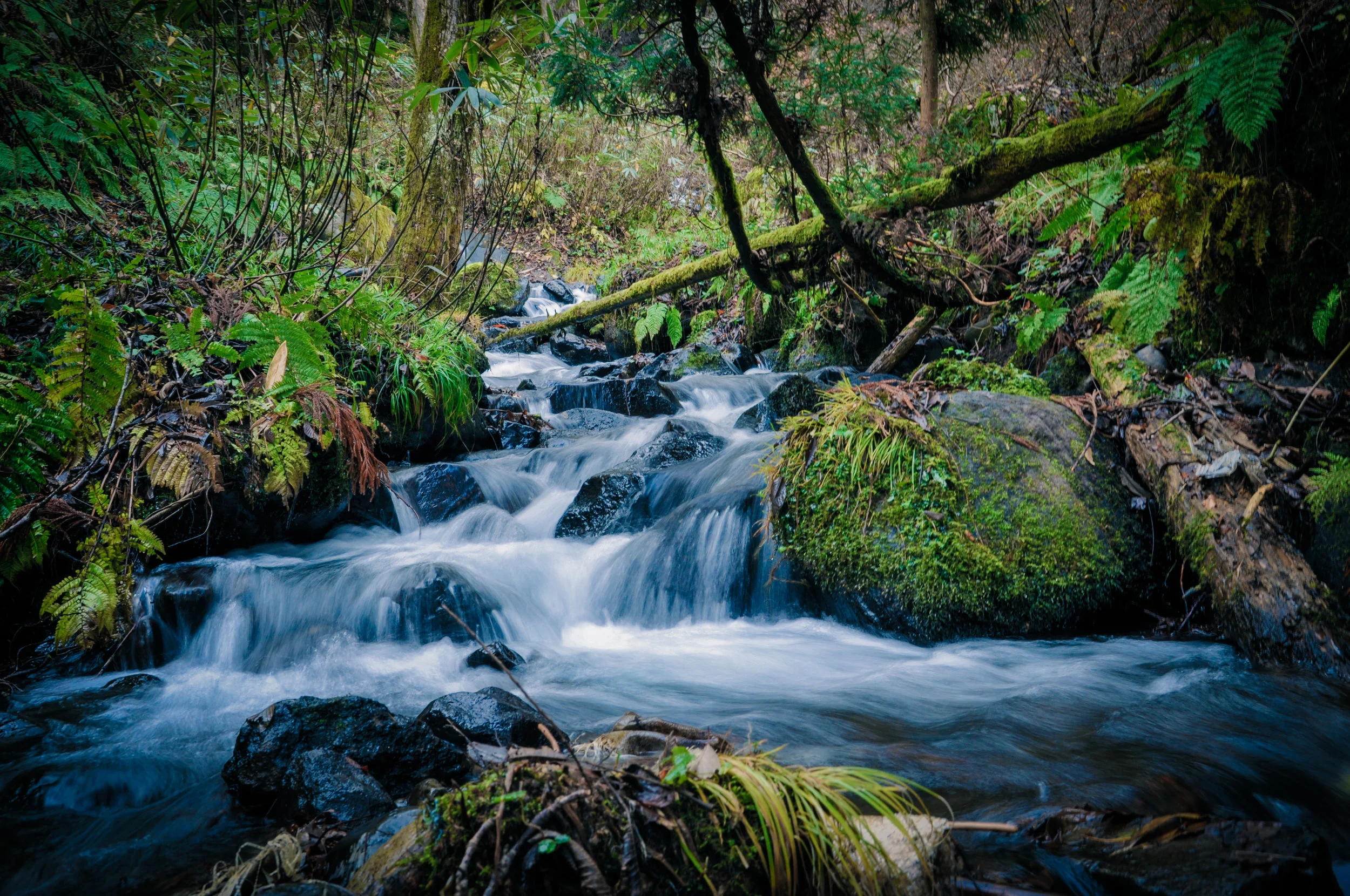 10-hiking-to-mae-wang-waterfall.jpg