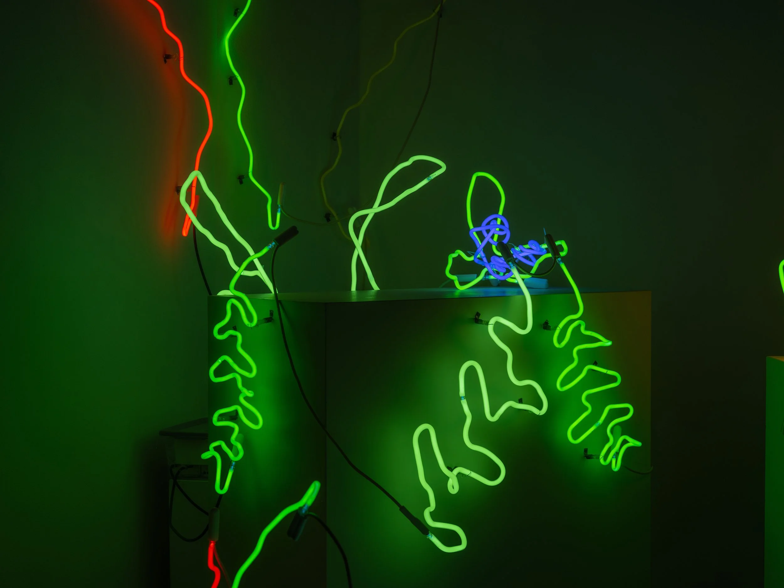 20250729_John_Keatley_KCJ_Neon_3090.jpg