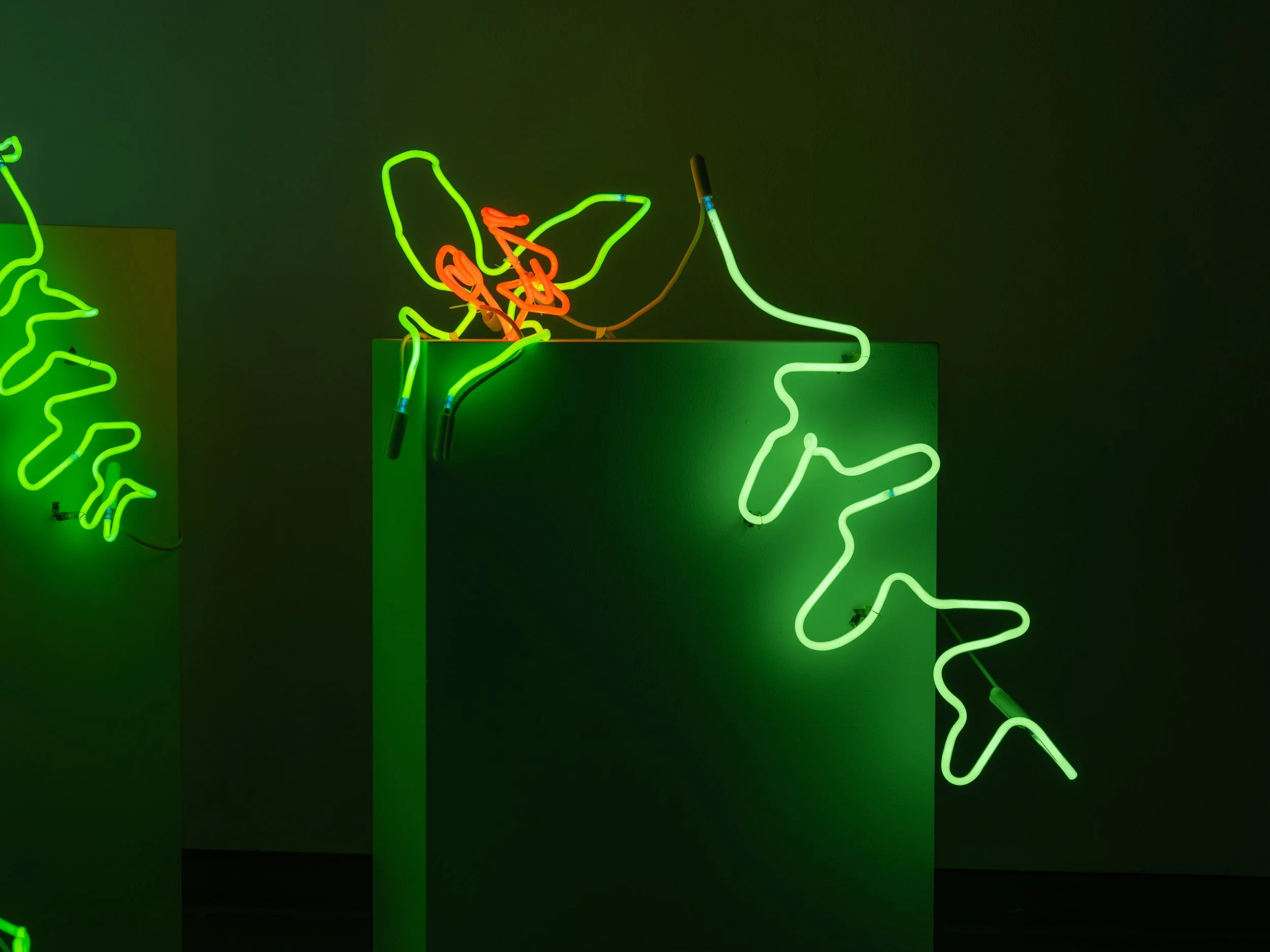 20250729_John_Keatley_KCJ_Neon_3108.jpg