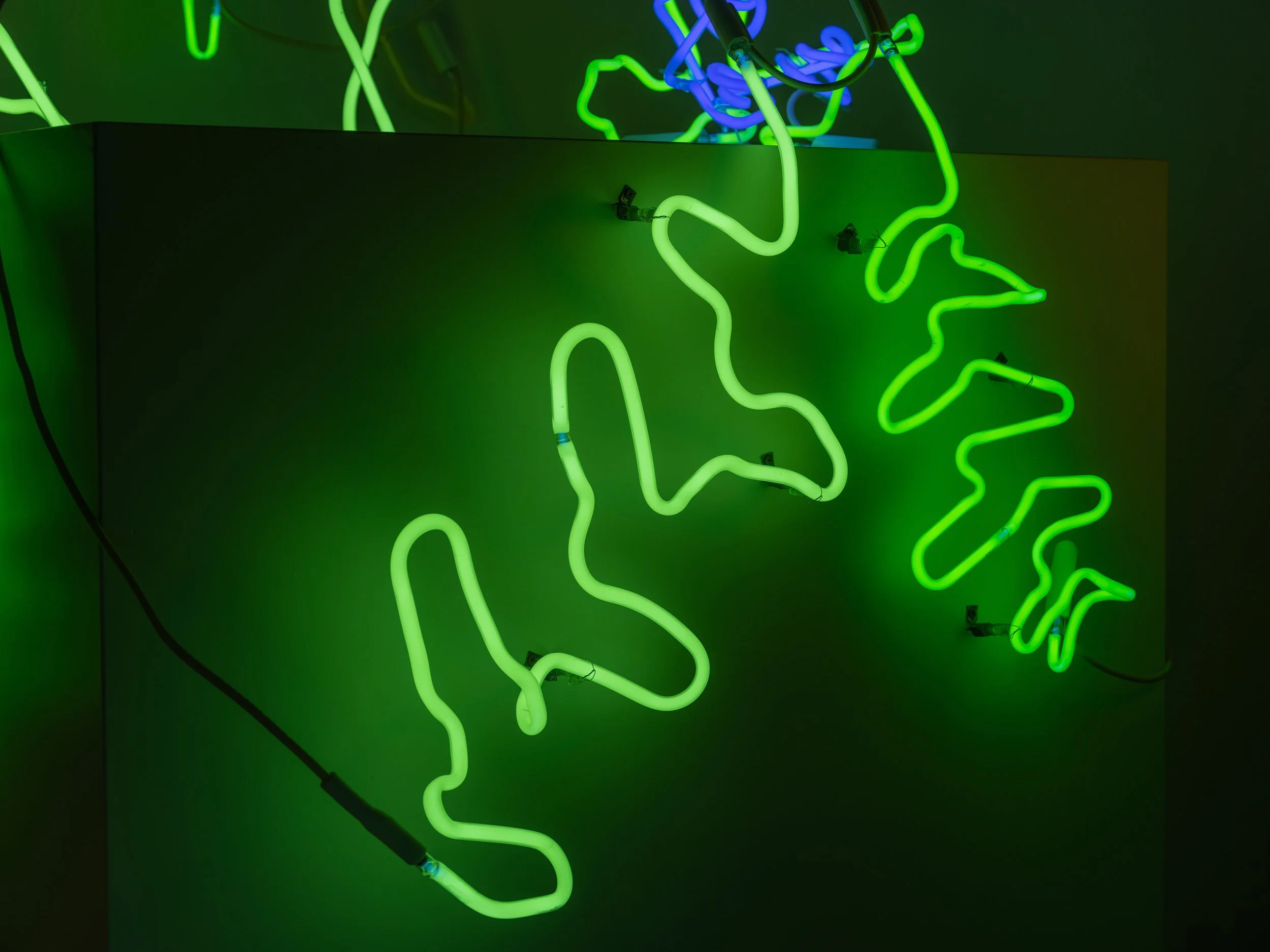 20250729_John_Keatley_KCJ_Neon_3113.jpg