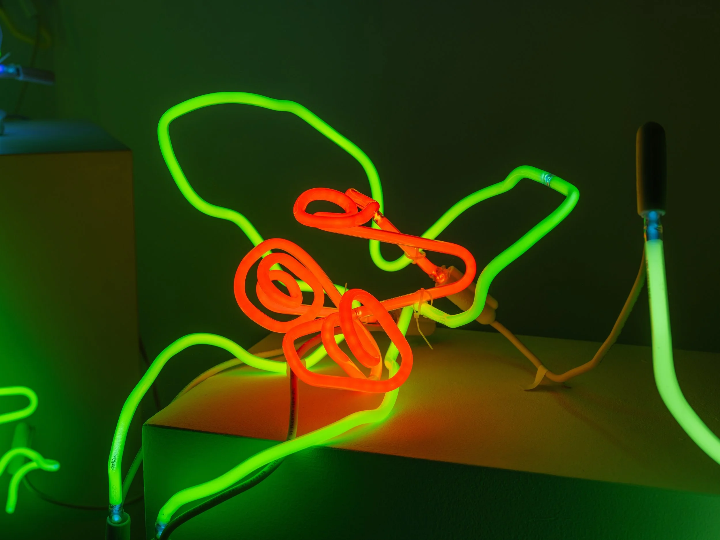 20250729_John_Keatley_KCJ_Neon_3180.jpg