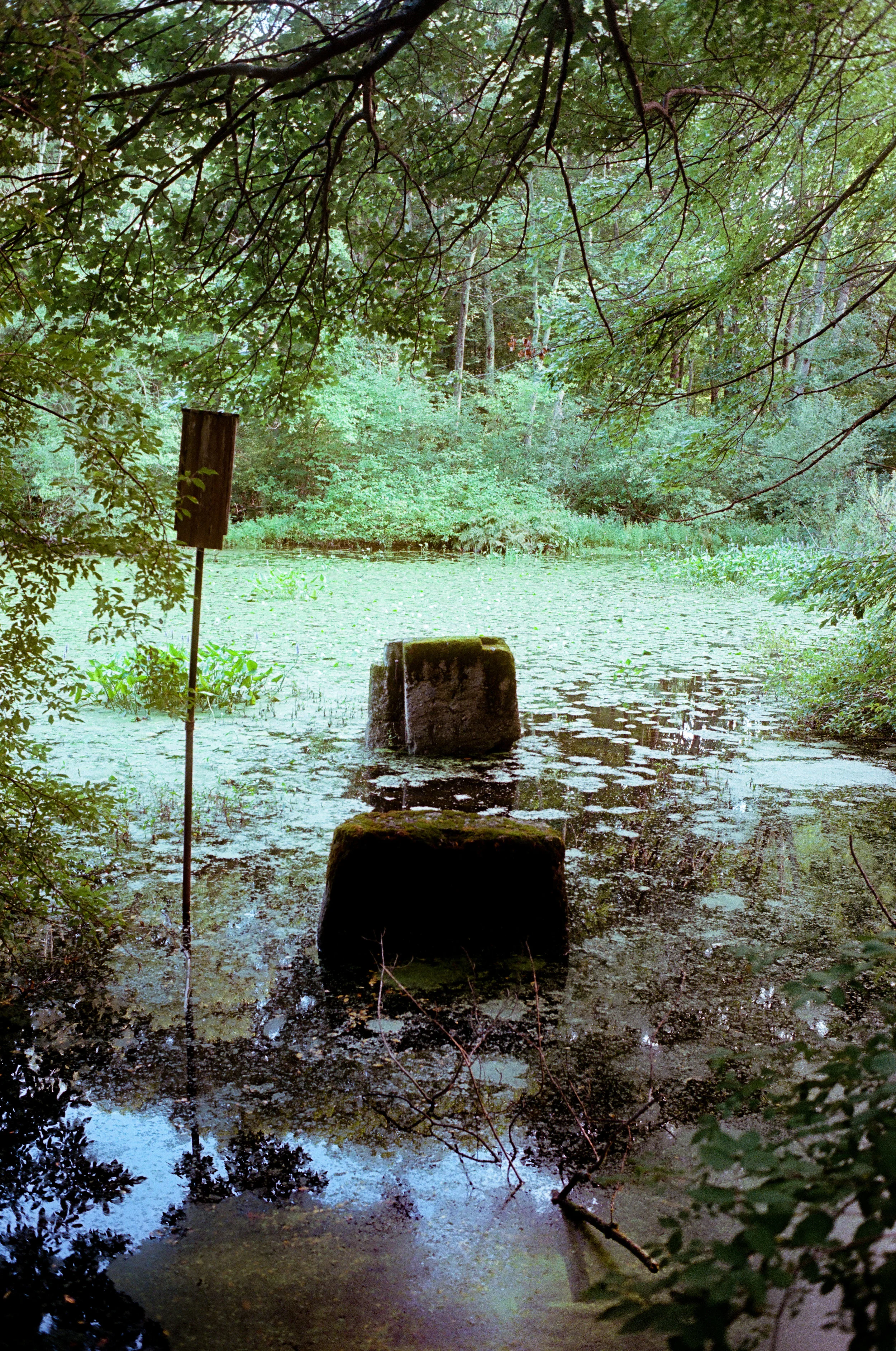 home again (7 of 13).jpg