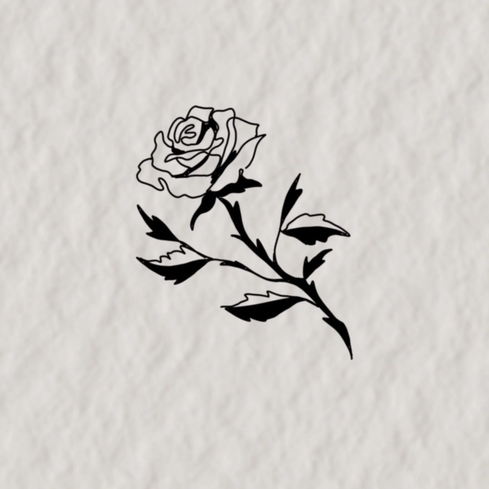 IMG_6492.jpeg