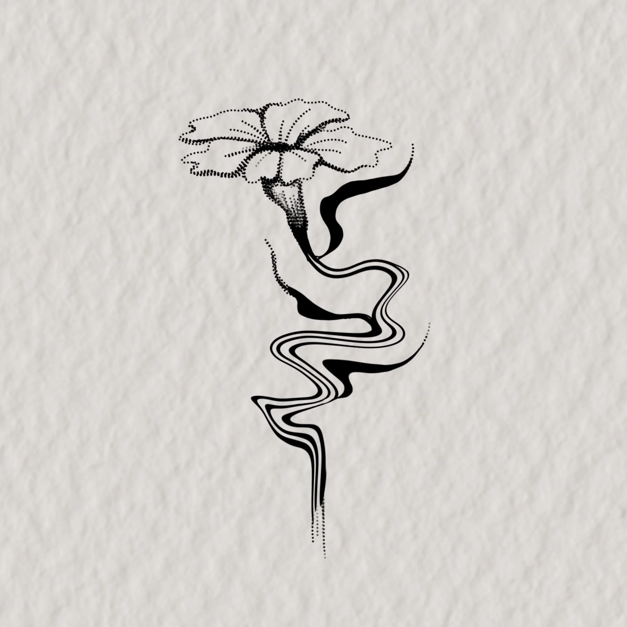 Untitled_Artwork 2.jpeg