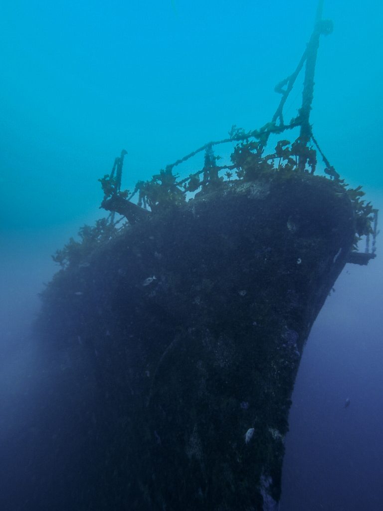 shipwreck-768x1024.jpeg