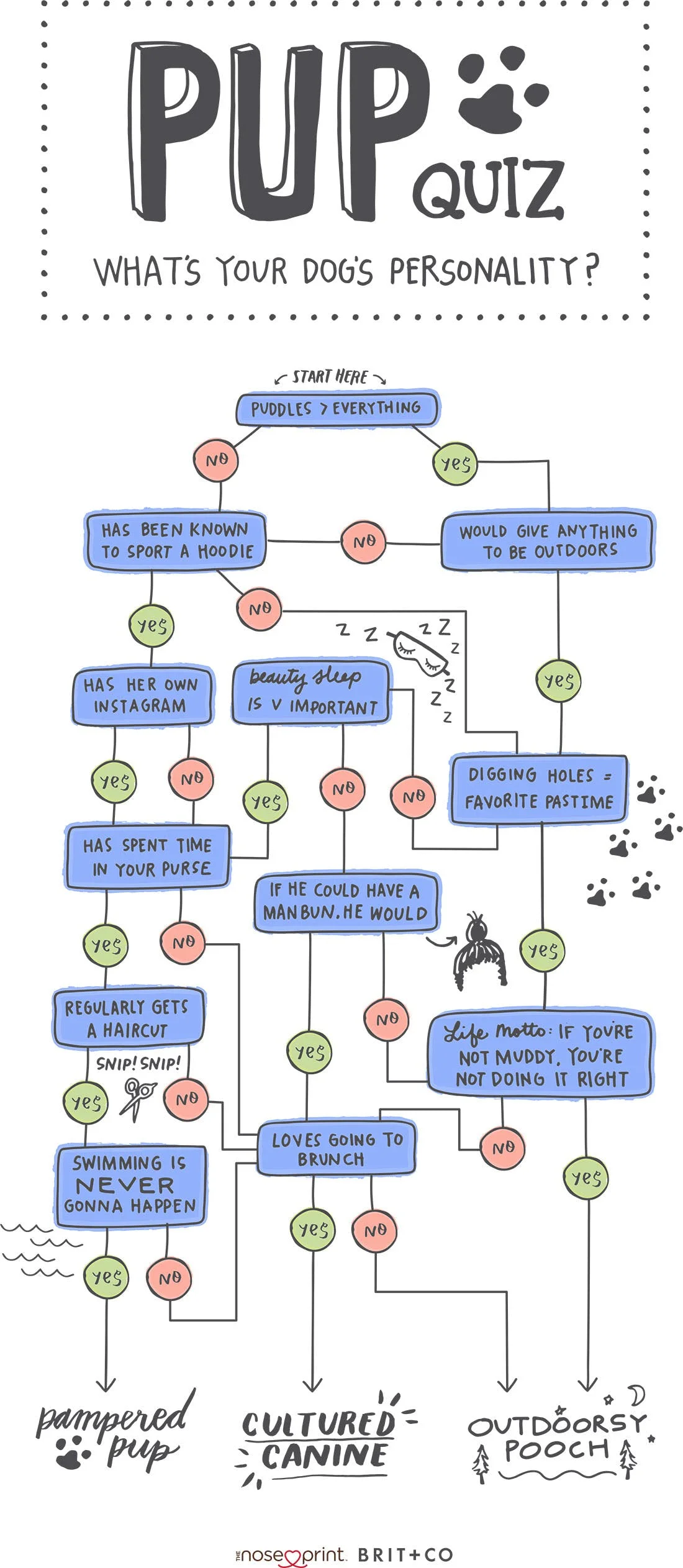 Brit-Co-Milkbone-Pup-Quiz-Flowchart.jpg