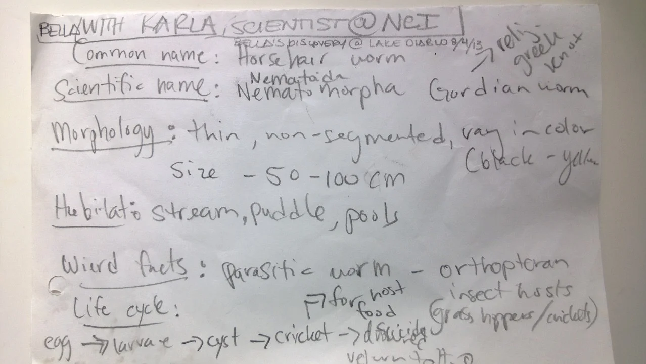 Field Notes from Impromptu Parasitic Worm Research with Institute Biologist Guide and our 7 year-Old Daughter Bella 