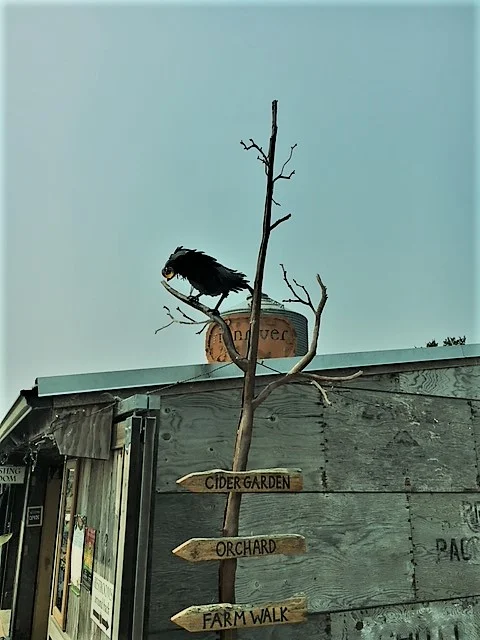 9 FUN WASHINGTON SUMMER ADVENTURES  