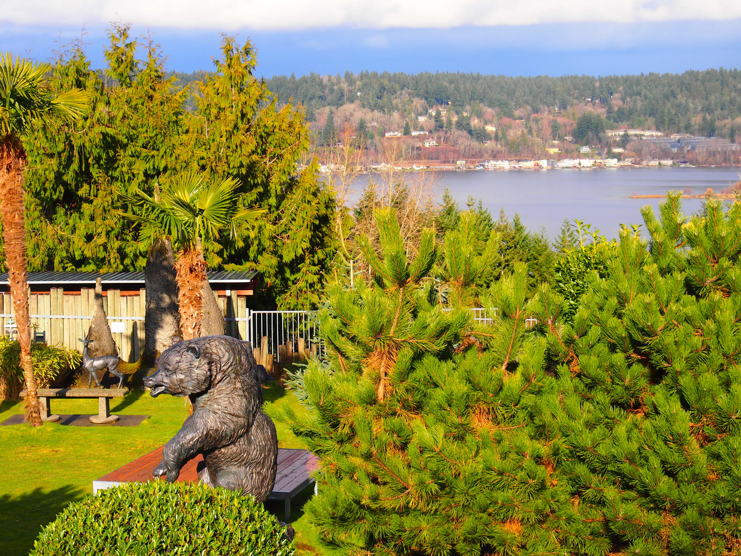 5 Unique Reasons You Should Visit Cougar Mountain Zoo