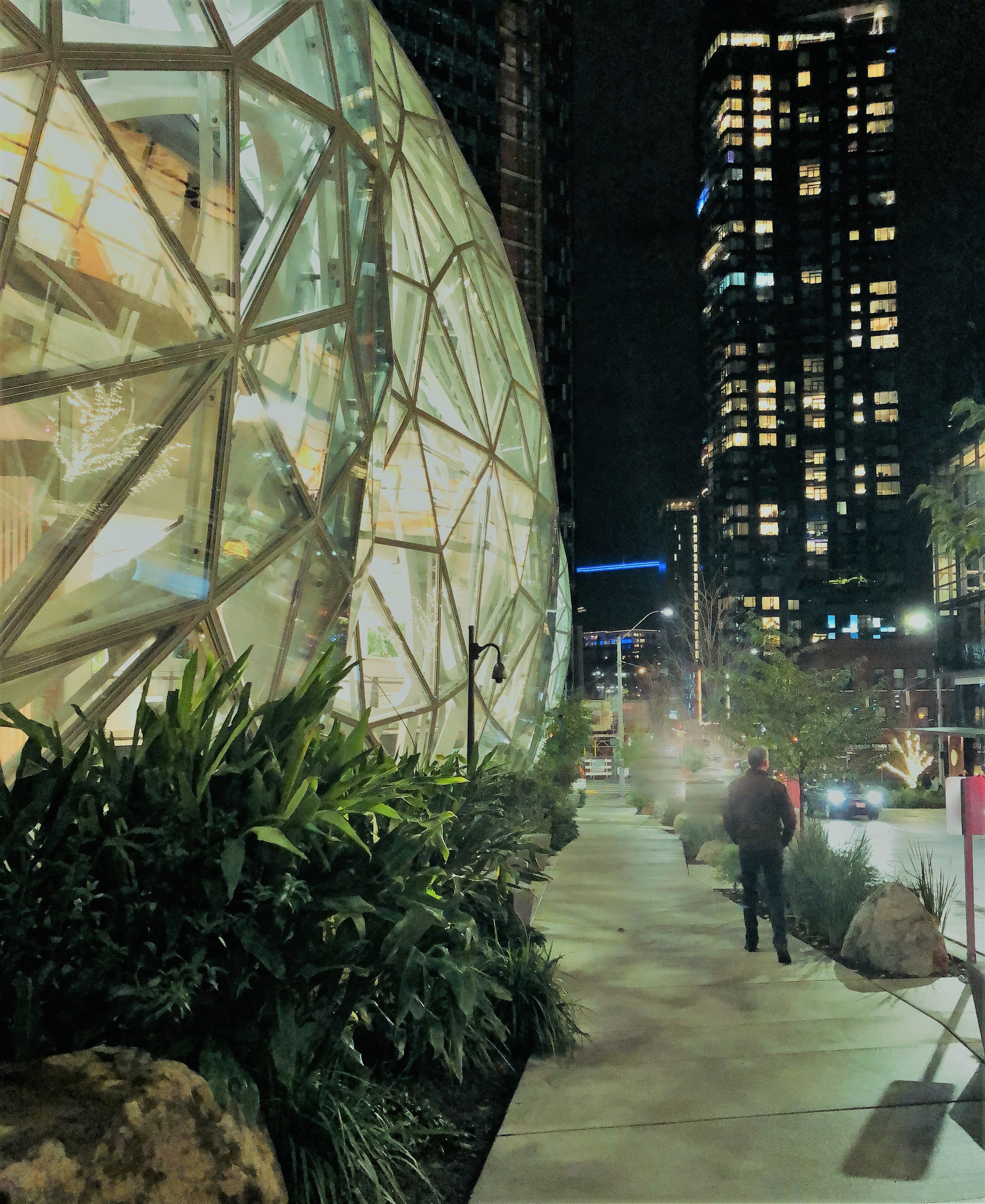 Amazon Spheres 