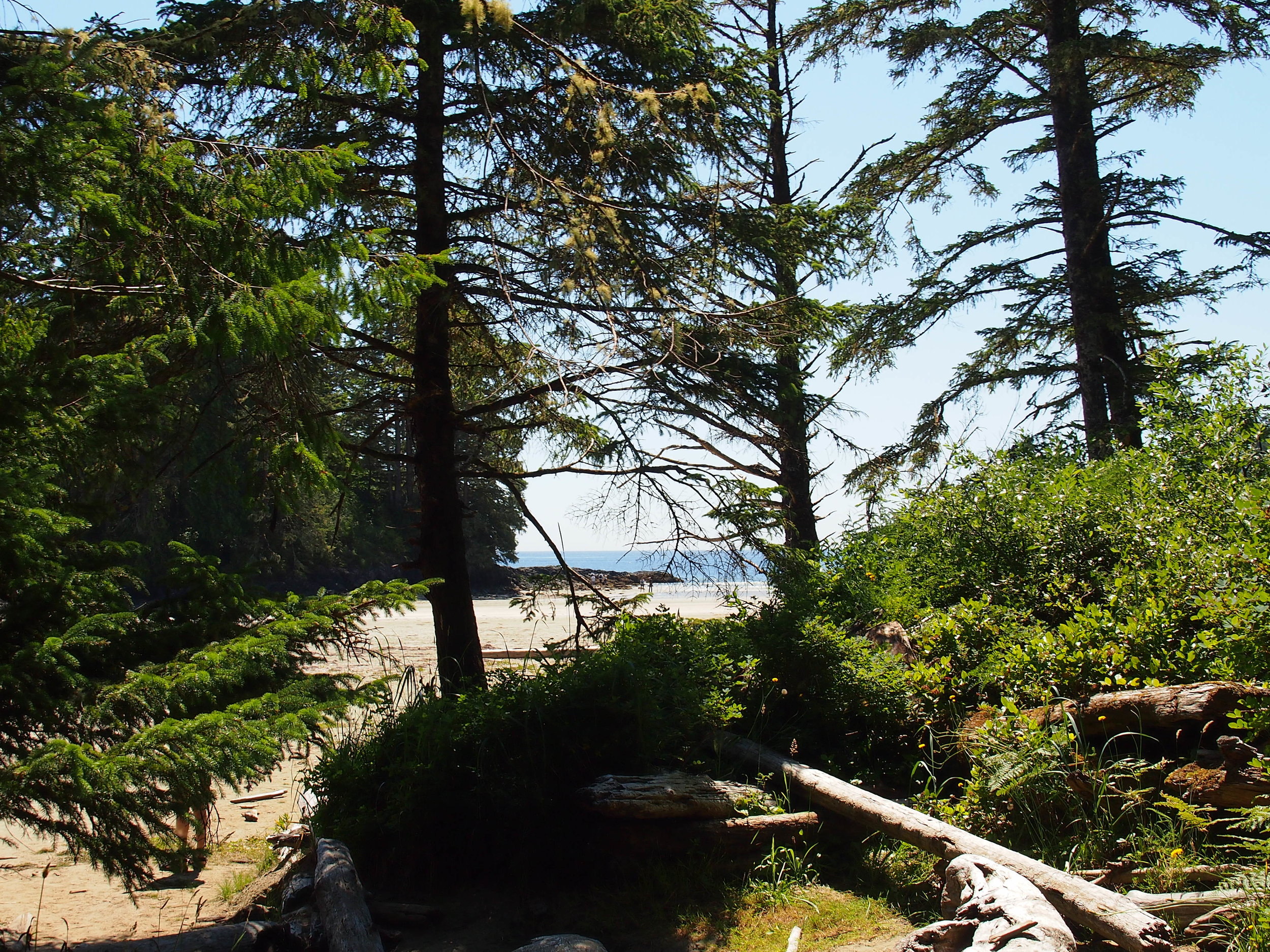 Trail ends at Long Beach