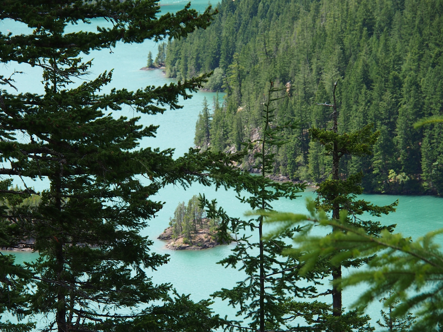 Lake Diablo, N Cascades Nat'l Park