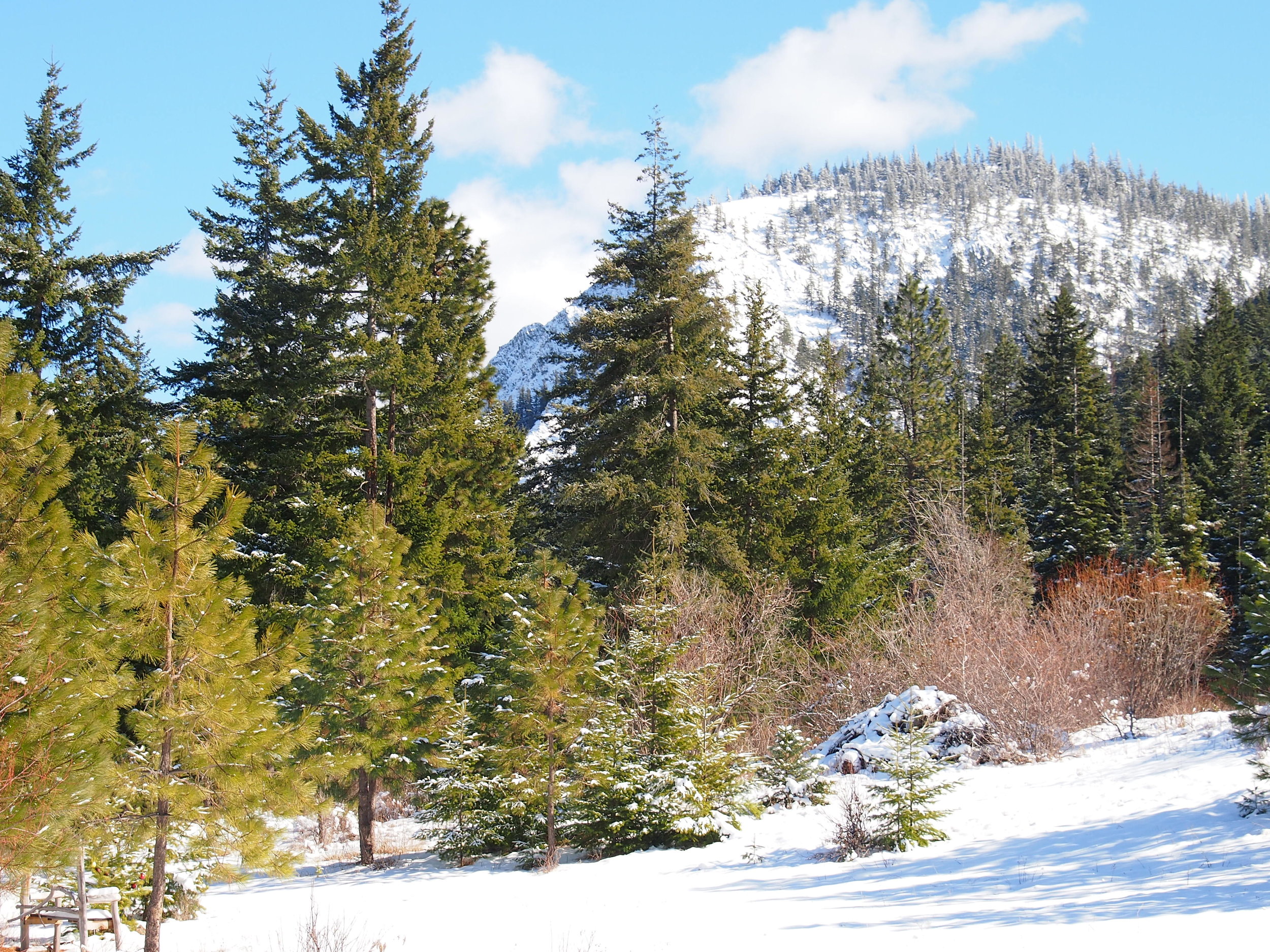 Peoh Point, Cle Elum, WA