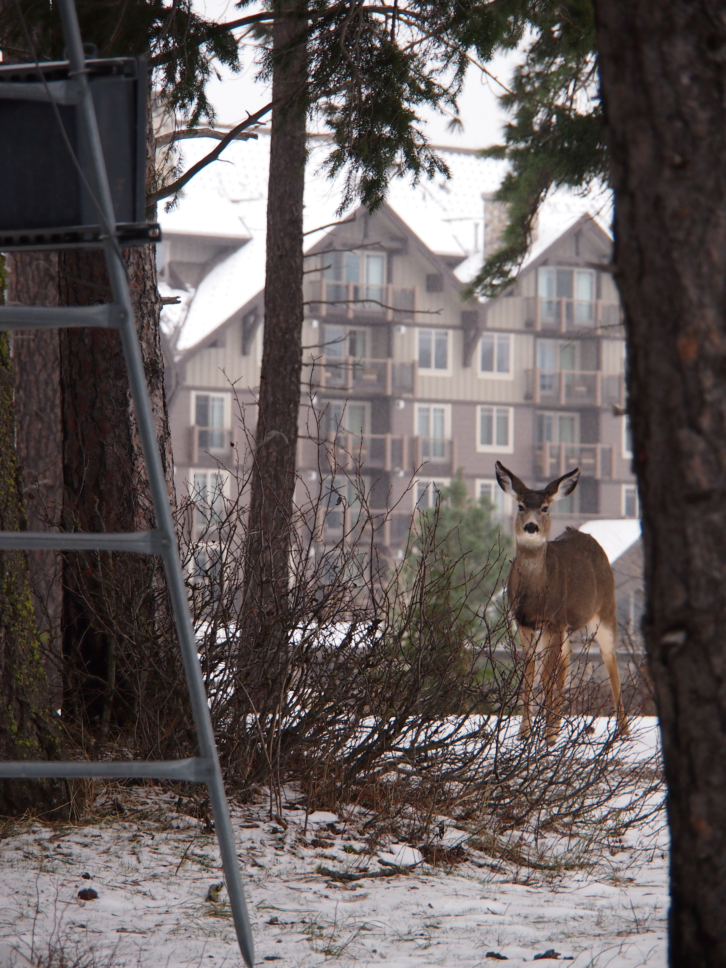 Suncadia Resort, Cle Elum, WA