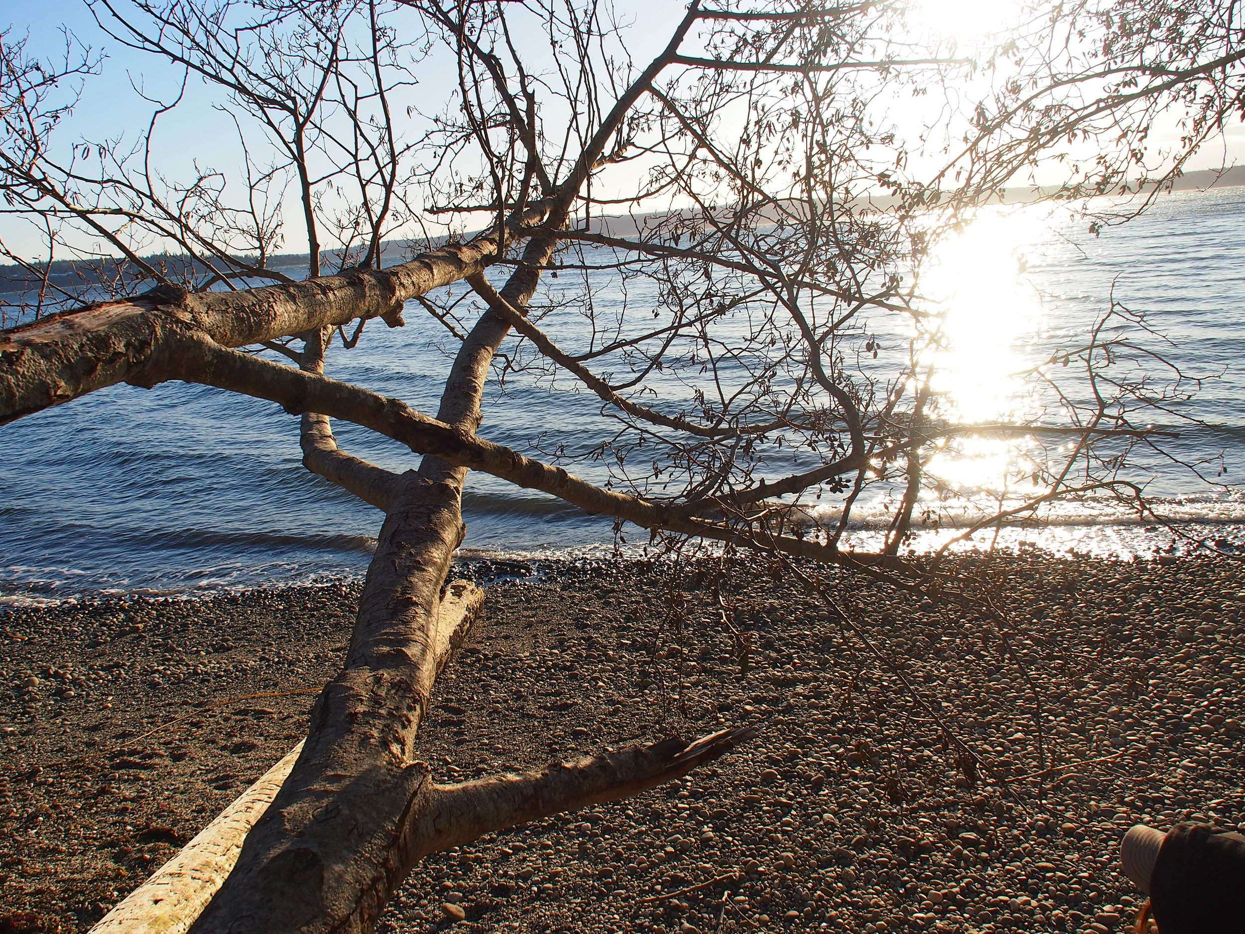 Camano Island, WA