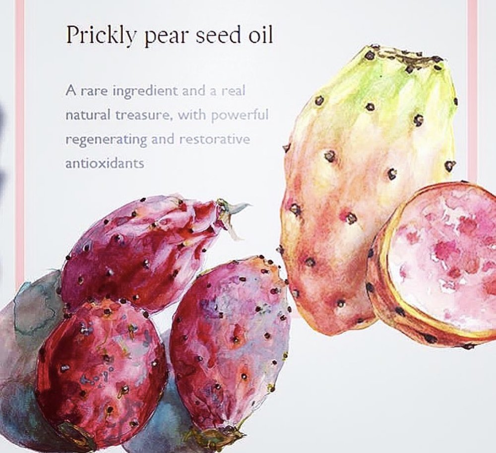 Wake Up &amp; Glow Oil Benefits  ( Prickly Pear is the #1 ingredient )